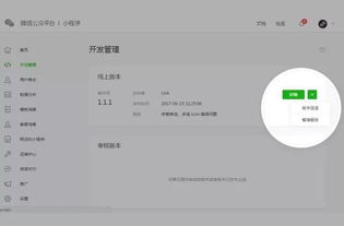 武汉小程序开发推广,七大功能助你玩转小程序